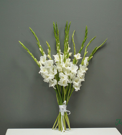 White Gladiolus (pre-order, 5 days) photo 394x433